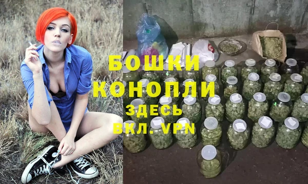 гашик Лиски