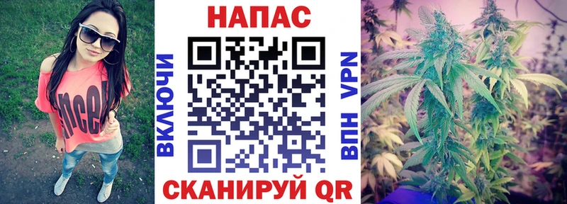 Канабис ГИДРОПОН Арзамас